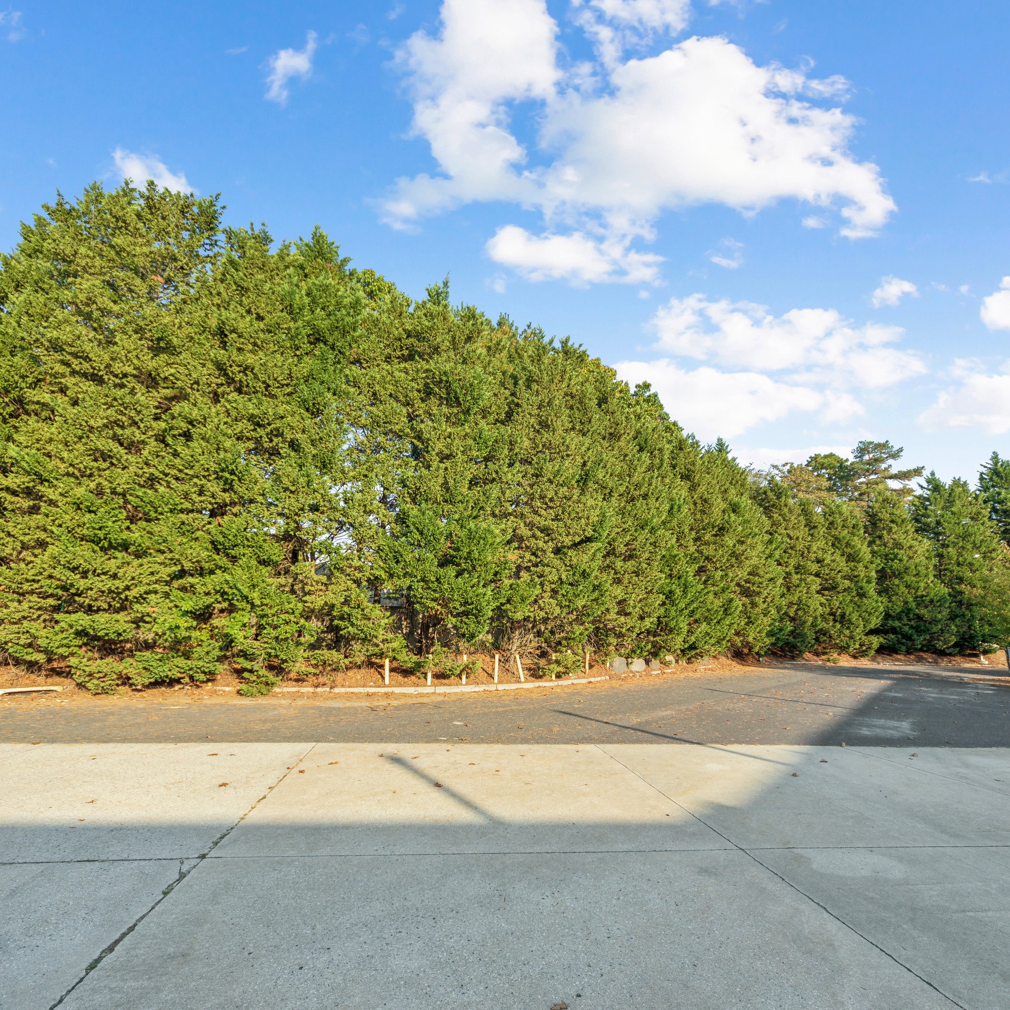 14.94 Acres Voorhees, Camden County, NJ (Power, Water, & Paved Road)