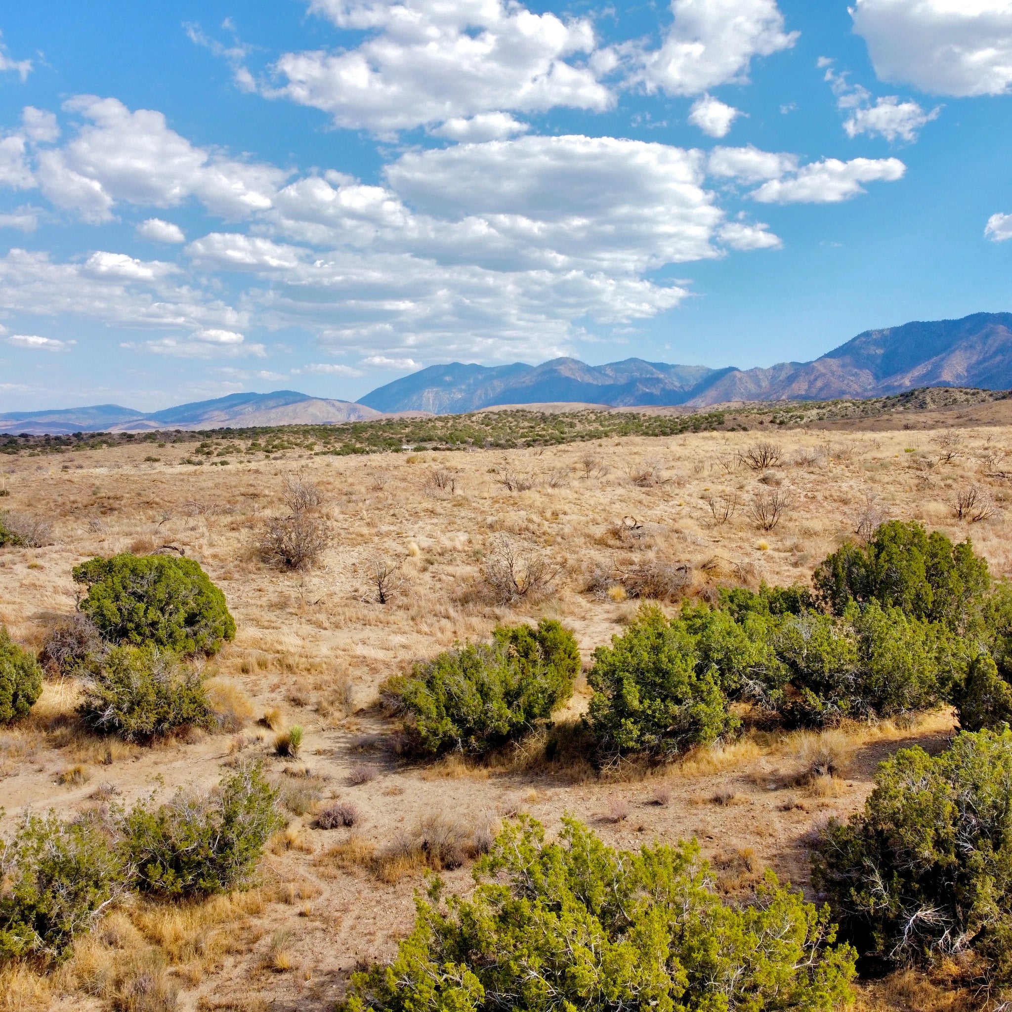 81.11 Acres Juniper Hills, Los Angeles County, CA (Paved Road)