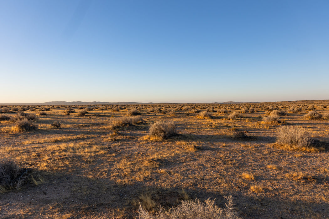 21.49 Acres California City, Kern County, CA