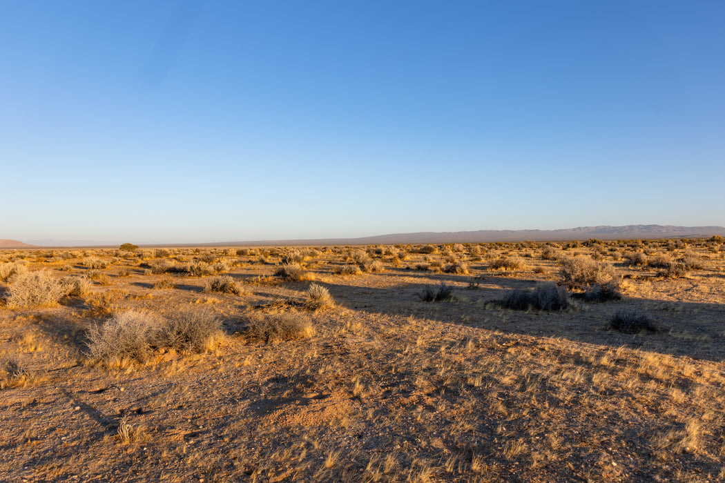 21.49 Acres California City, Kern County, CA