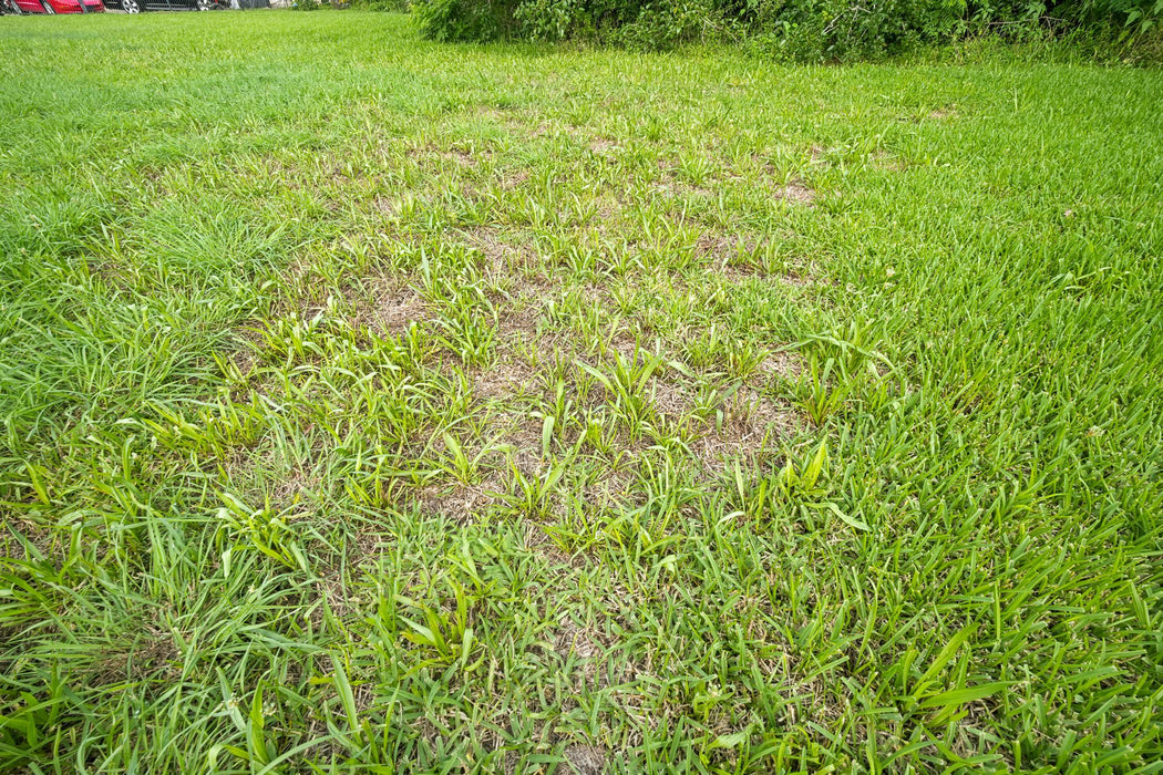 0.36 Acre Houston, Harris County, TX (Commercial Lot, Power, Water, & Paved Road)
