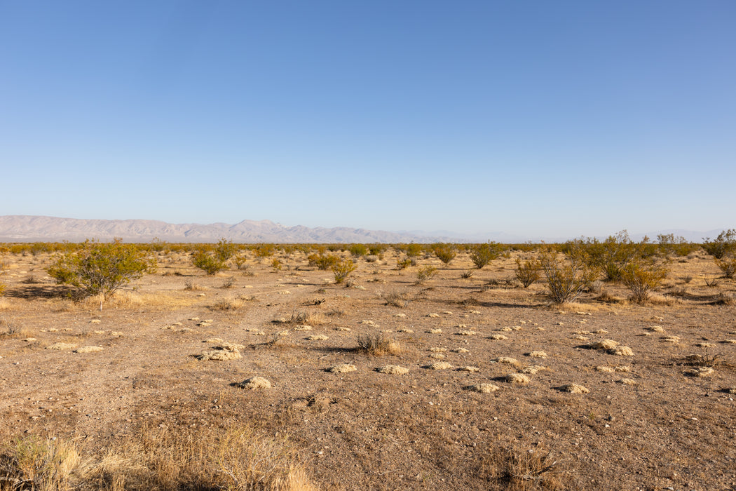 10 Acres California City, Kern County, CA