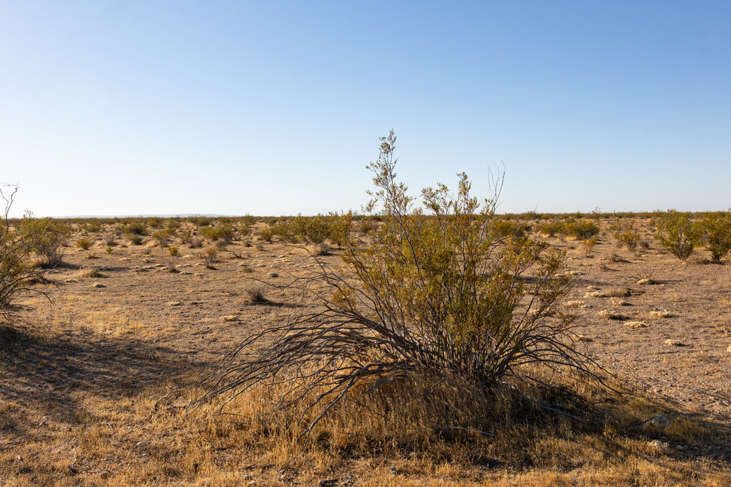 10 Acres California City, Kern County, CA