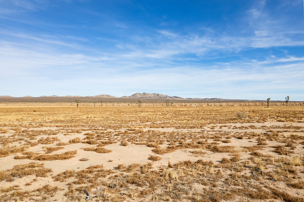 32.41 Acres Adelanto, San Bernardino County, CA