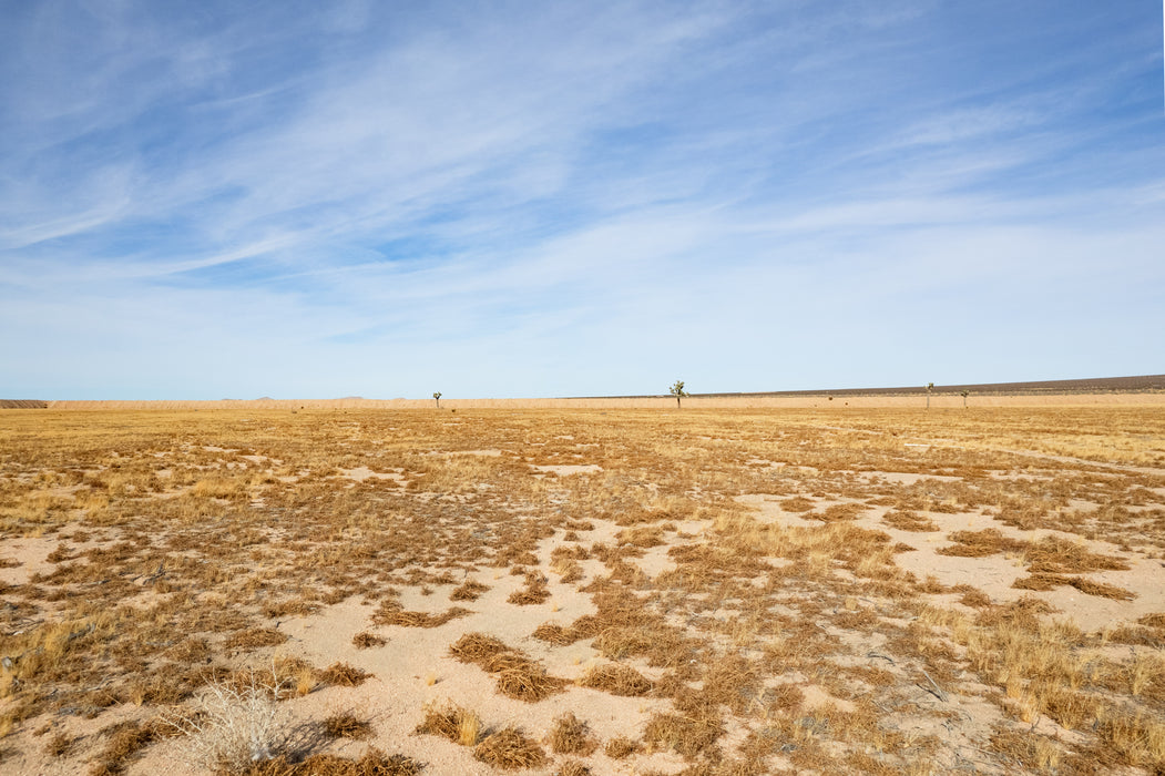 32.41 Acres Adelanto, San Bernardino County, CA