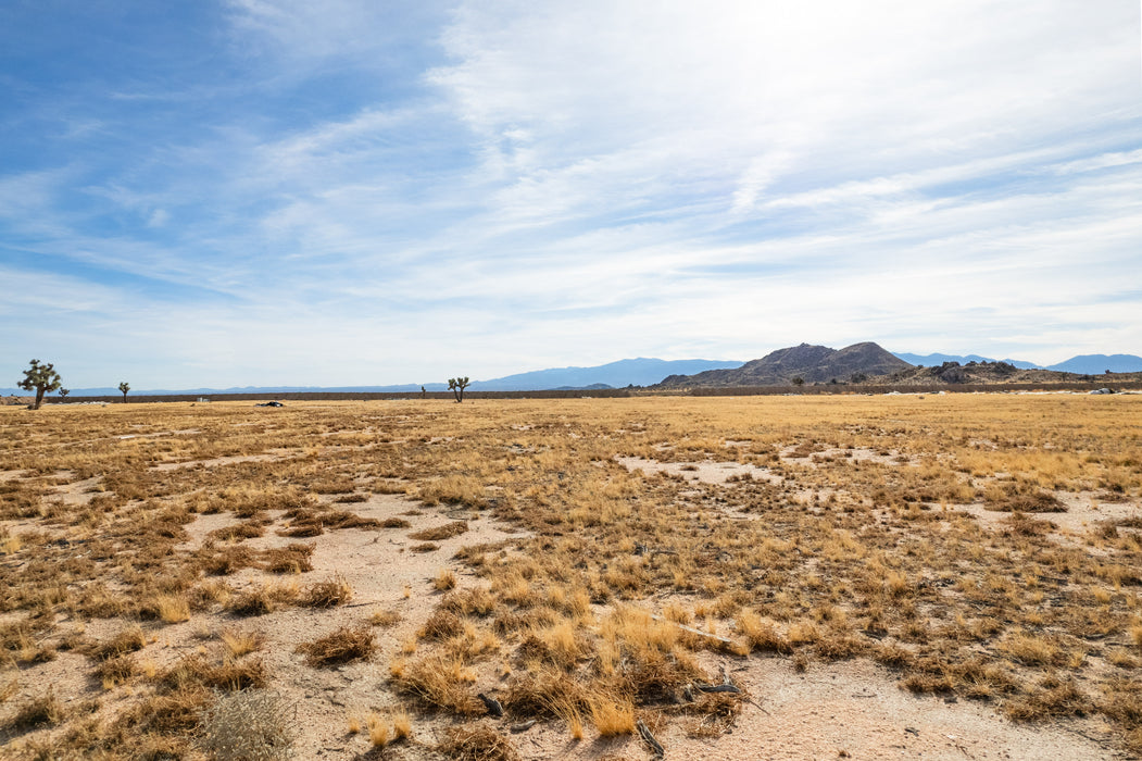 32.41 Acres Adelanto, San Bernardino County, CA