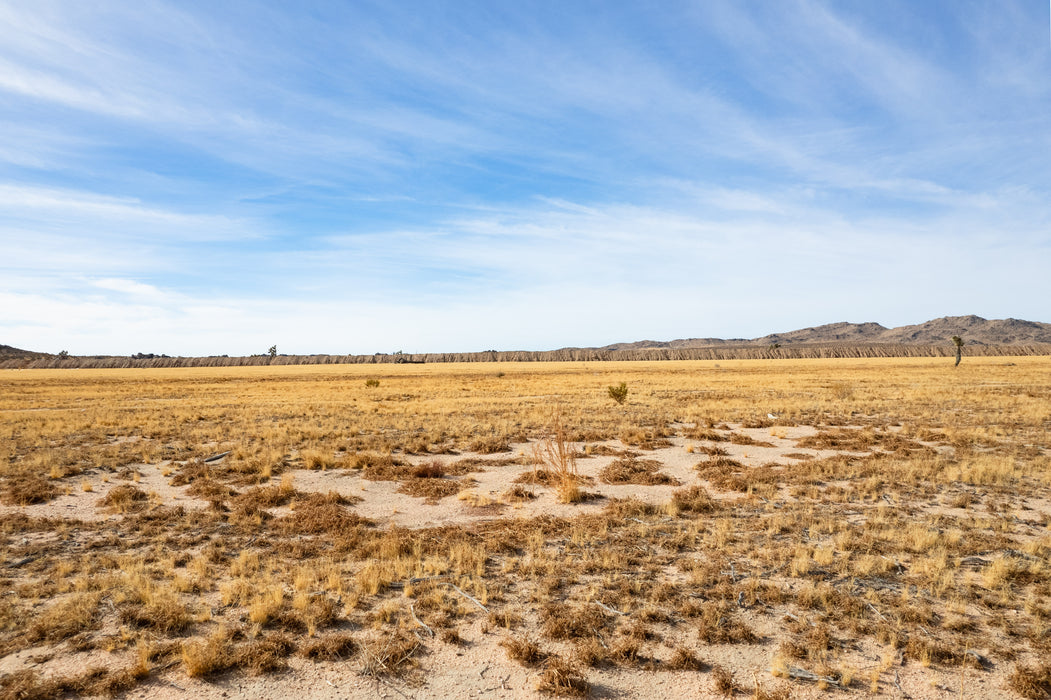 32.41 Acres Adelanto, San Bernardino County, CA