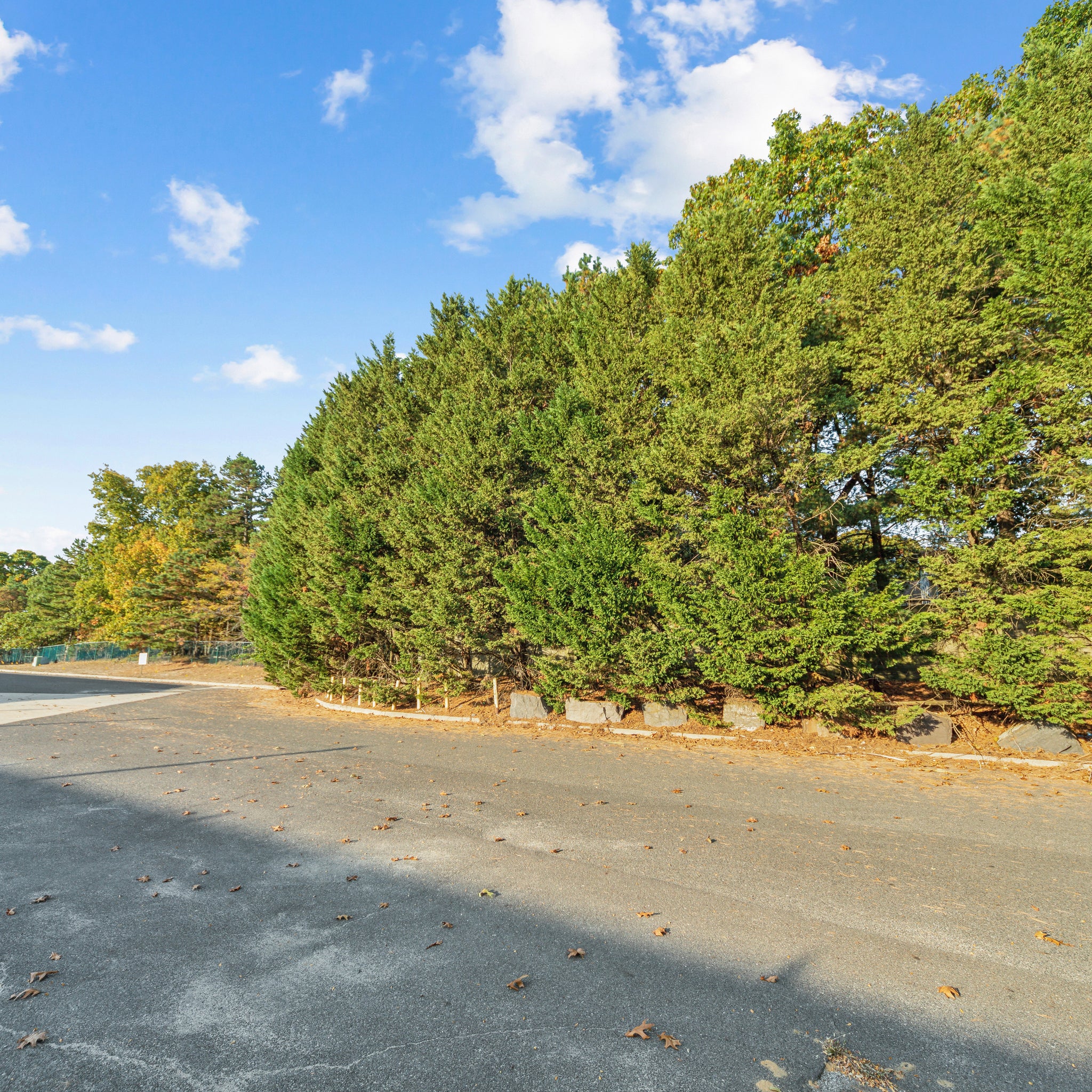 14.94 Acres Voorhees, Camden County, NJ (Power, Water, & Paved Road)