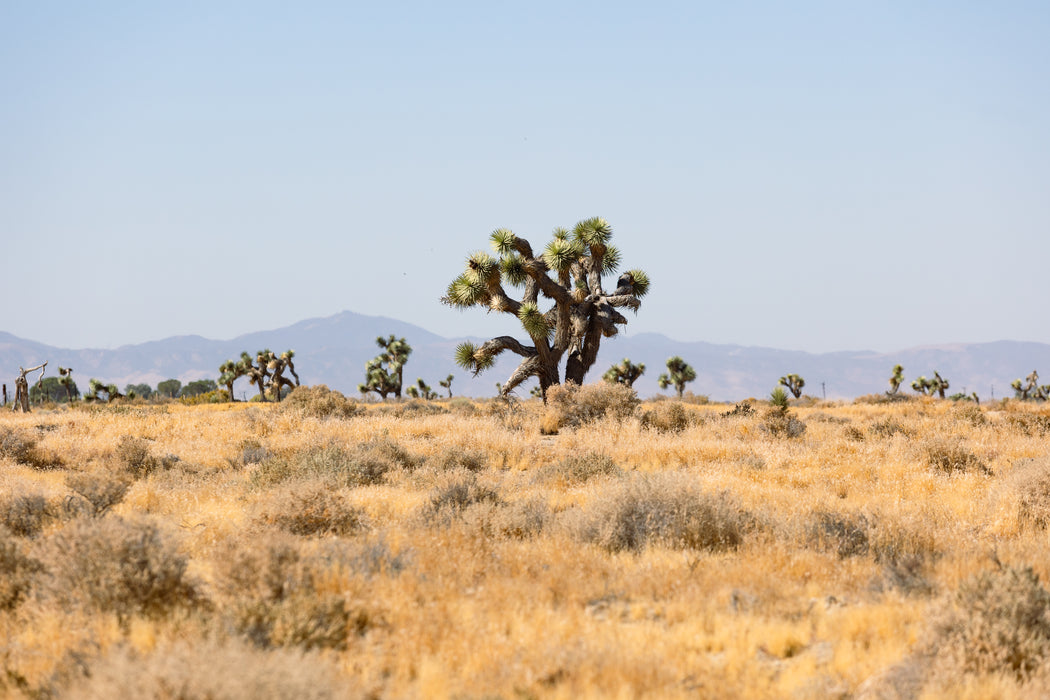 4.62 Acres Lancaster, Los Angeles County, CA