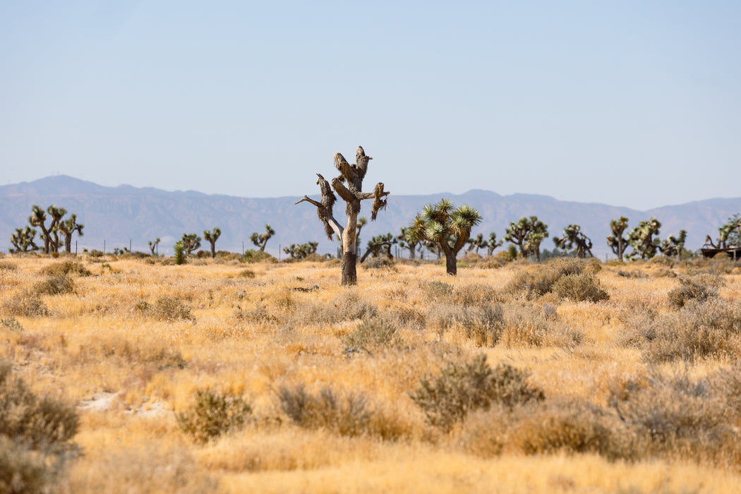 4.62 Acres Lancaster, Los Angeles County, CA