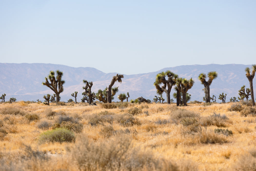 4.62 Acres Lancaster, Los Angeles County, CA