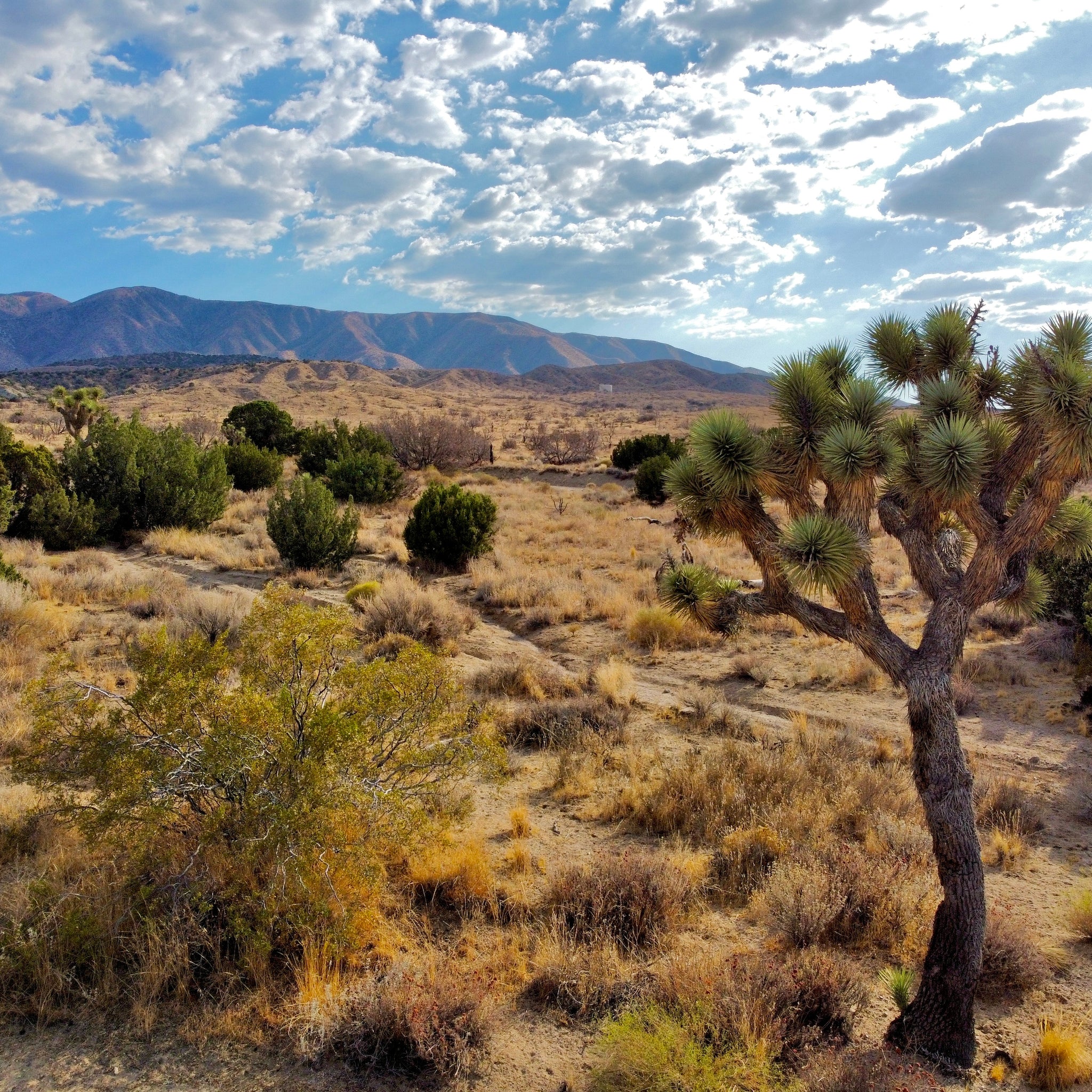 81.11 Acres Juniper Hills, Los Angeles County, CA (Paved Road)