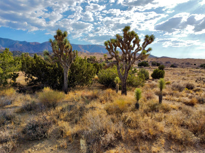 81.11 Acres Juniper Hills, Los Angeles County, CA (Paved Road)