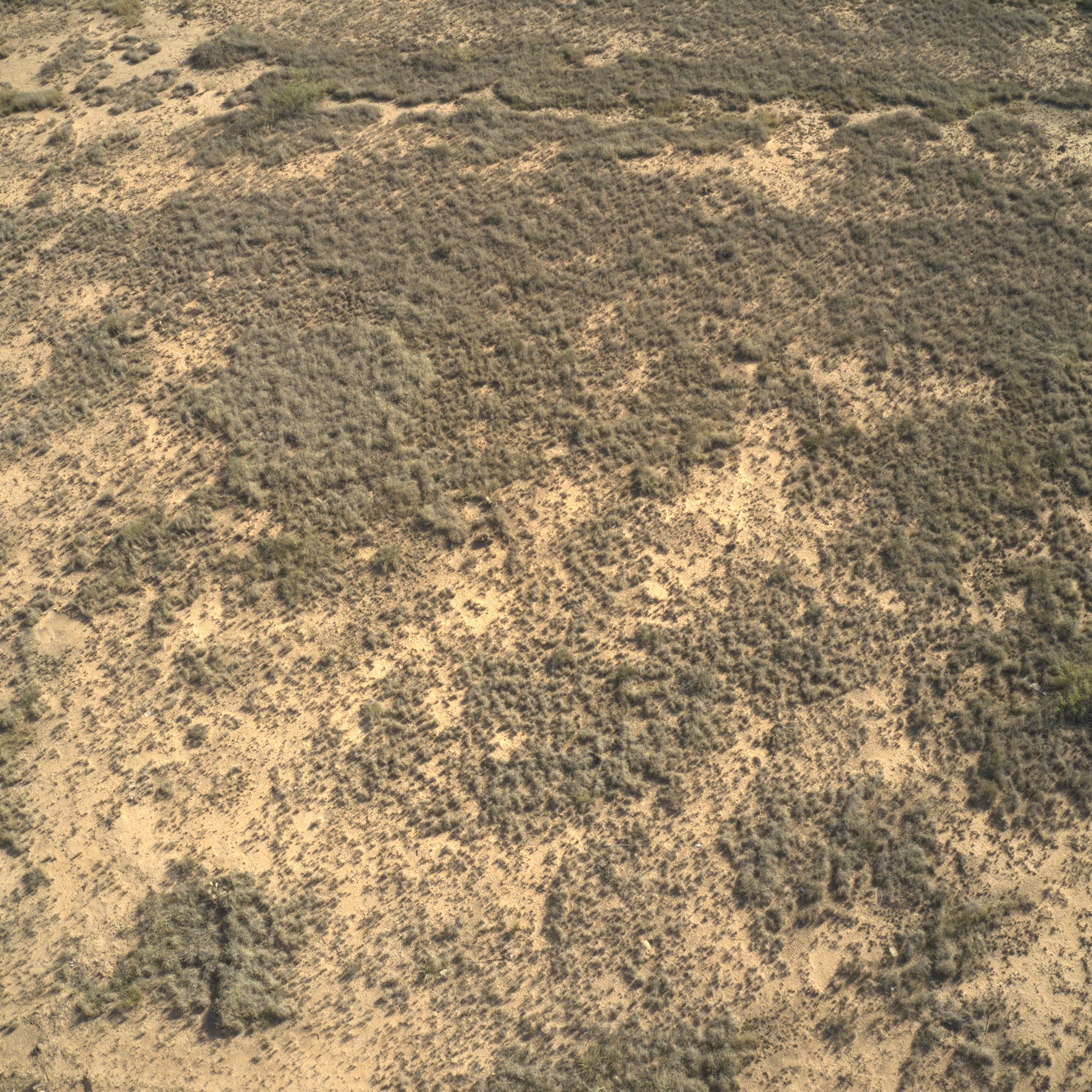 0.62 Acre Roswell, Chaves County, NM (Power & Water)