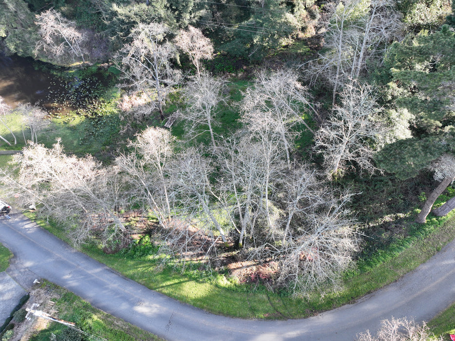 0.96 Acre Eureka, Humboldt County, CA (Power, Water, & Paved Road)