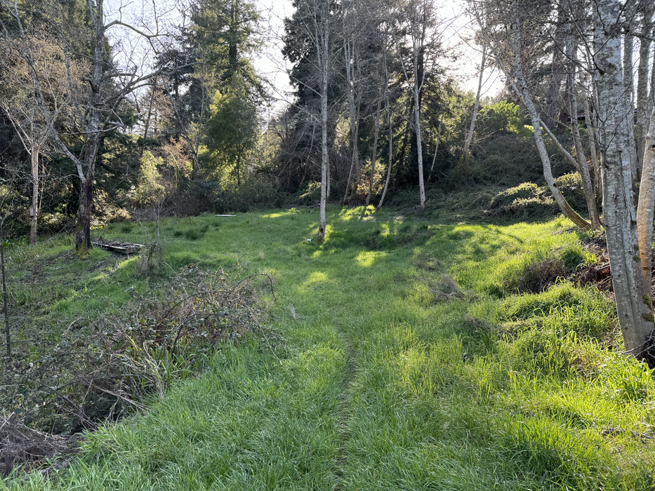 0.96 Acre Eureka, Humboldt County, CA (Power, Water, & Paved Road)