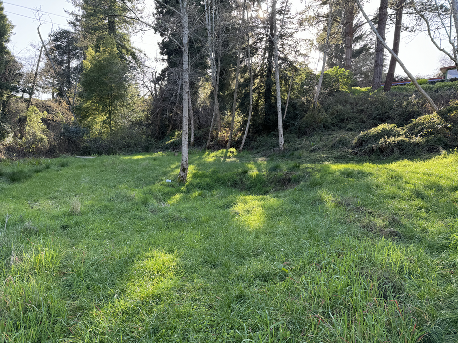 0.96 Acre Eureka, Humboldt County, CA (Power, Water, & Paved Road)