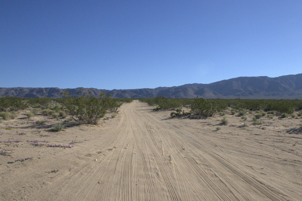 5 Acres Landers, San Bernardino County, CA