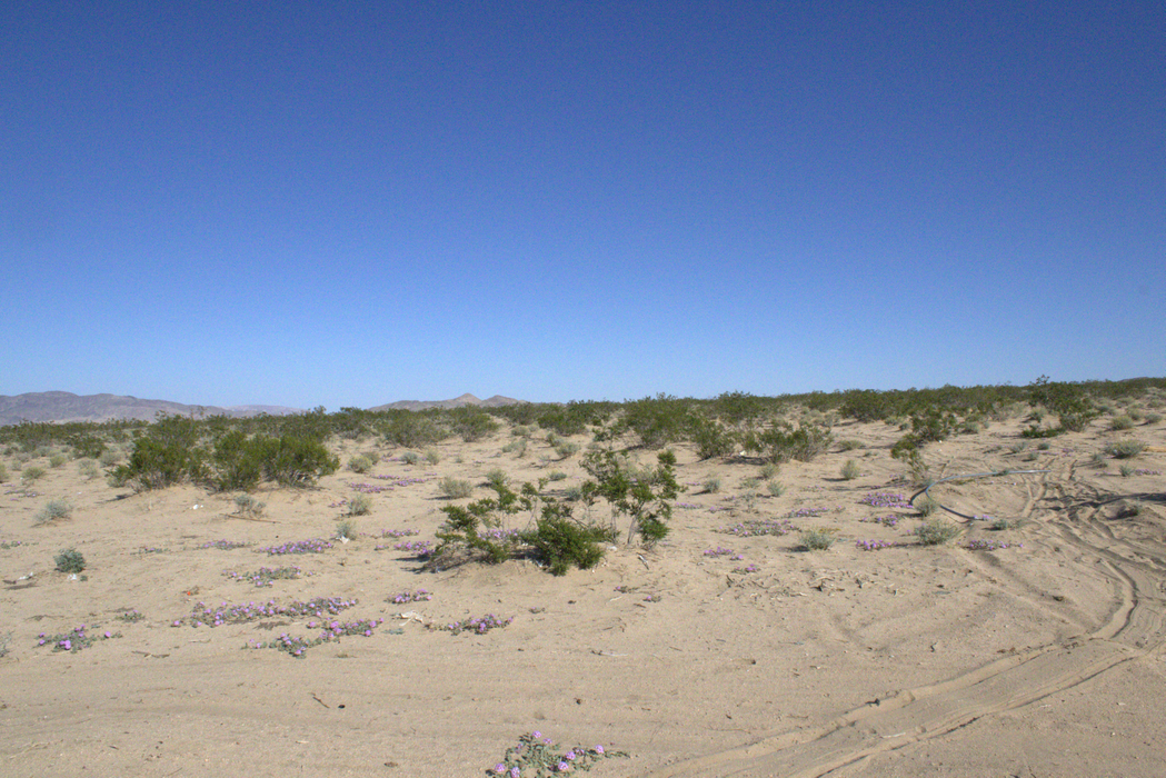 5 Acres Landers, San Bernardino County, CA