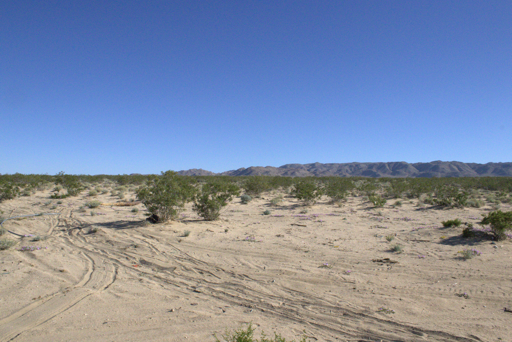 5 Acres Landers, San Bernardino County, CA