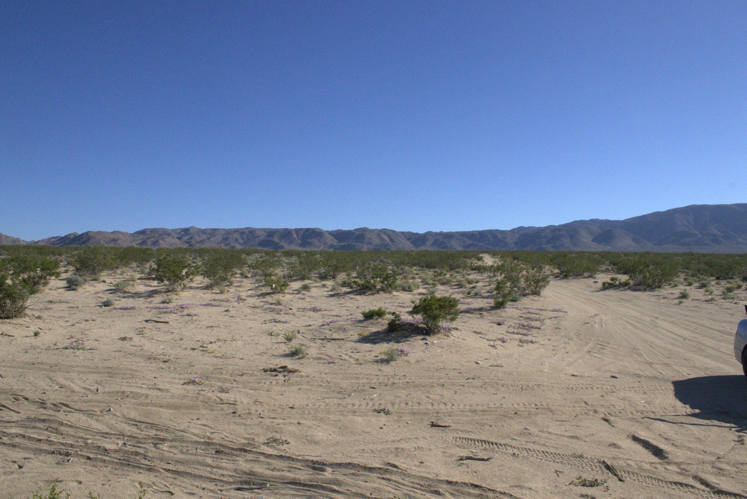 5 Acres Landers, San Bernardino County, CA