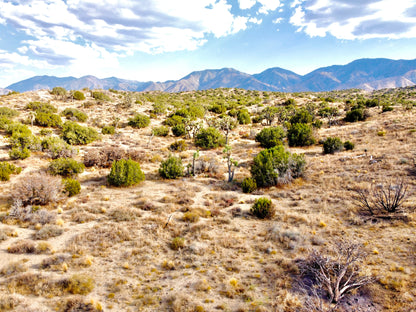 81.11 Acres Juniper Hills, Los Angeles County, CA (Paved Road)