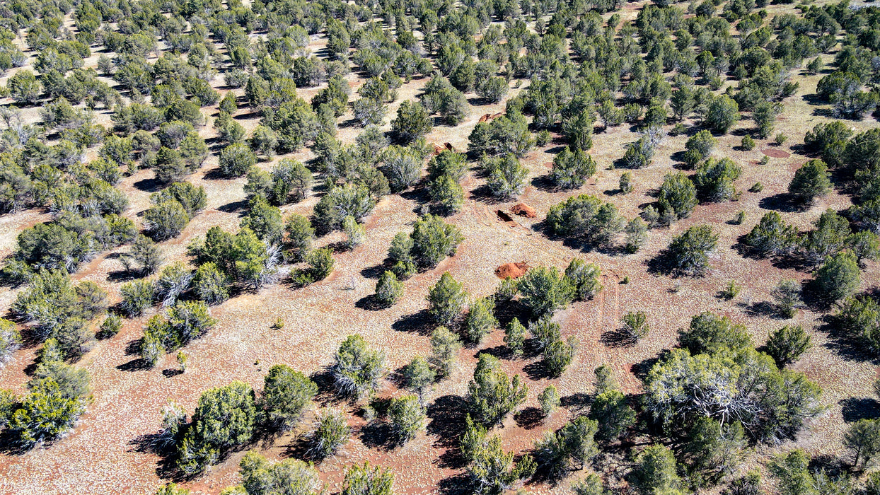 10 Acres Williams, Coconino County, AZ (Power)