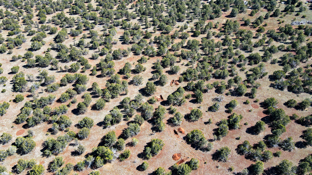 10 Acres Williams, Coconino County, AZ (Power)