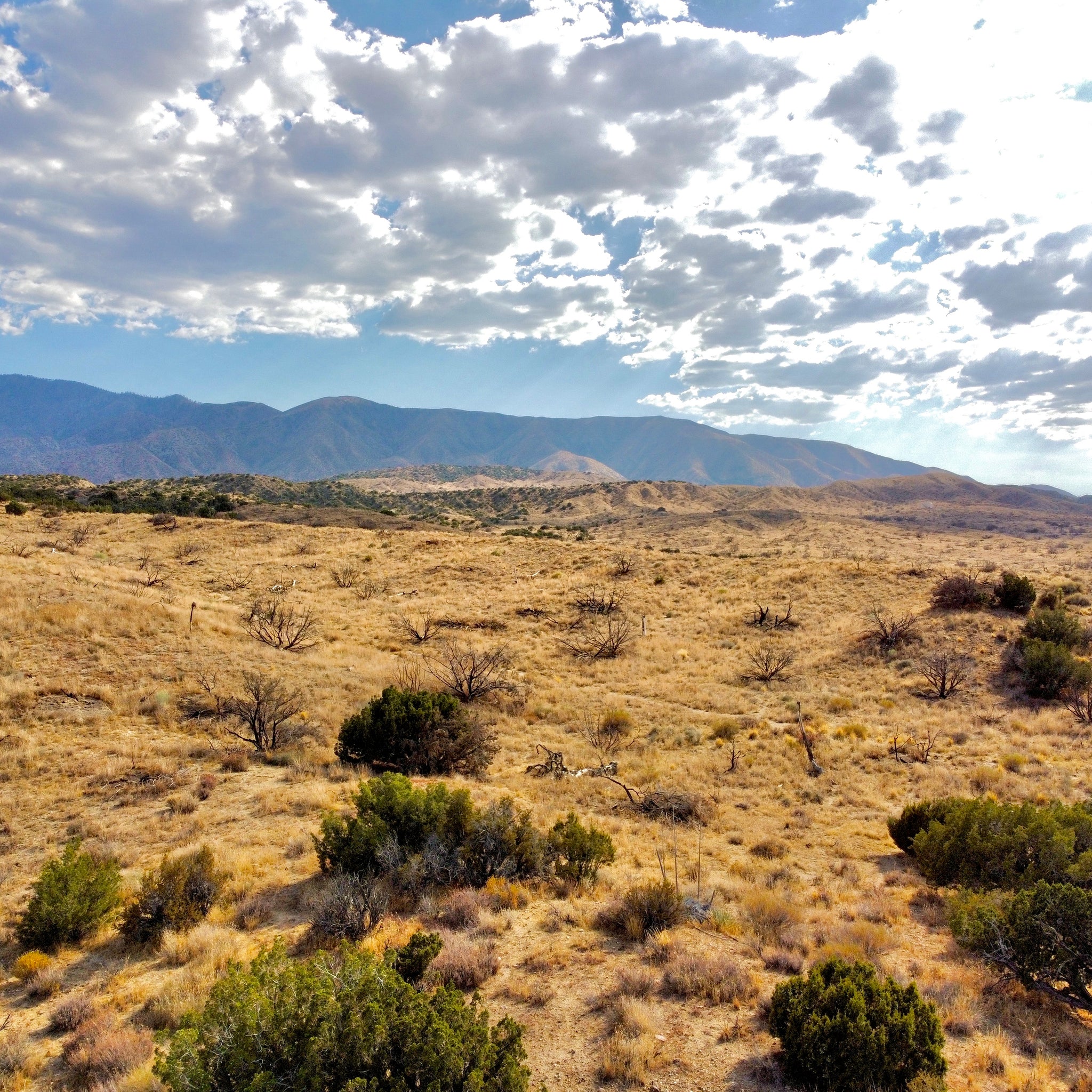 81.11 Acres Juniper Hills, Los Angeles County, CA (Paved Road)