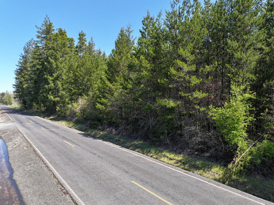 12.85 Acres Toledo, Lewis County, WA (Power, Water, & Paved Road)