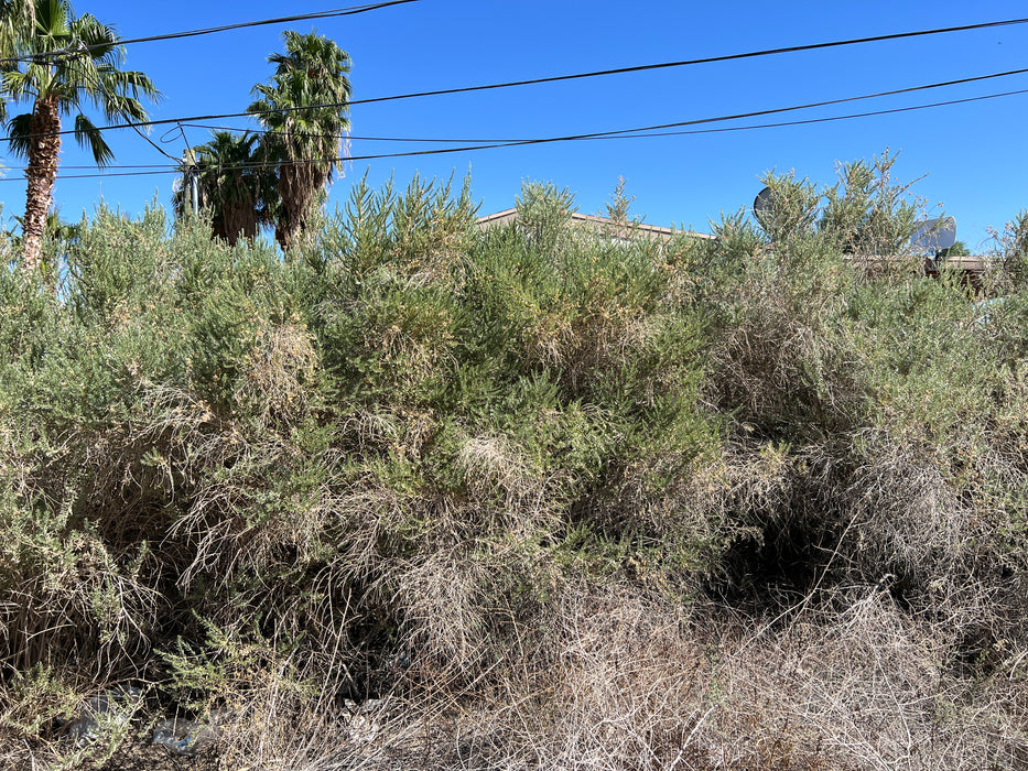 0.13 Acre Bullhead City, Mohave County, AZ (Power, Water, & Paved Road)