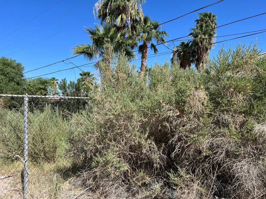 0.13 Acre Bullhead City, Mohave County, AZ (Power, Water, & Paved Road)