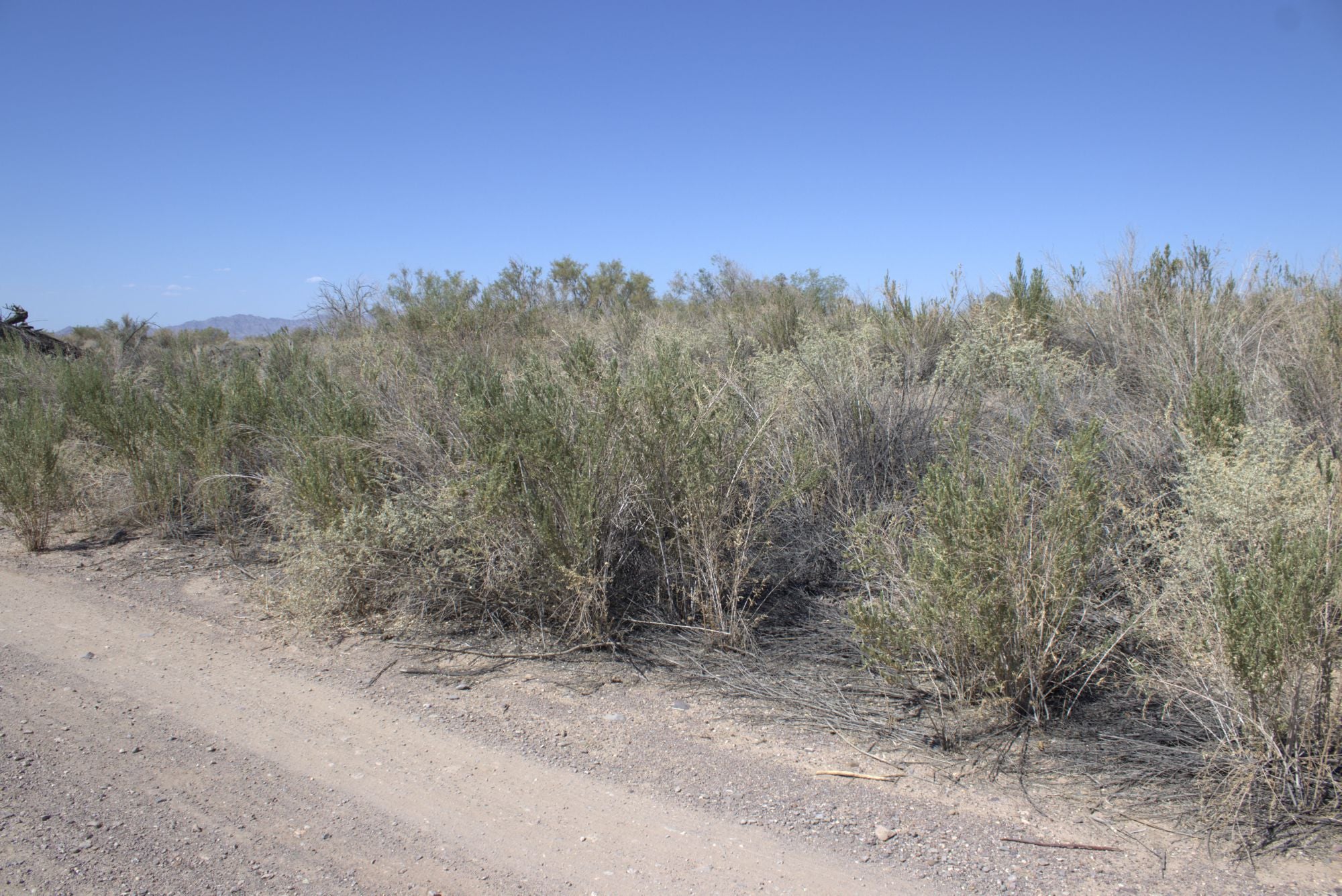 0.15 Acre Mohave Valley, Mohave County, AZ