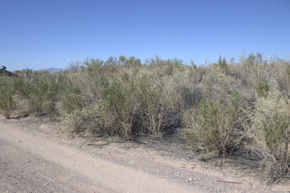 0.15 Acre Mohave Valley, Mohave County, AZ