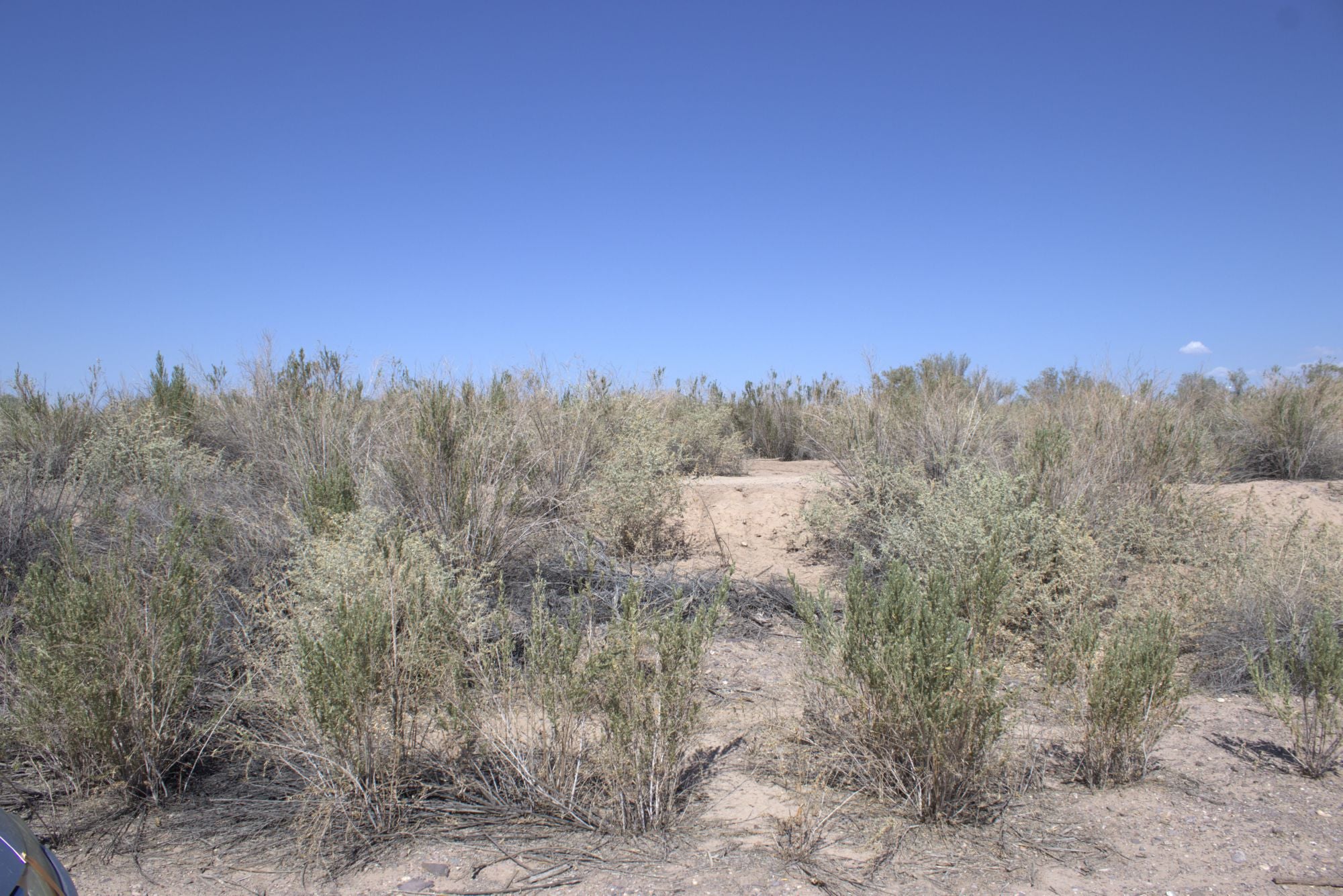0.15 Acre Mohave Valley, Mohave County, AZ