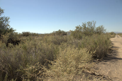 0.15 Acre Mohave Valley, Mohave County, AZ
