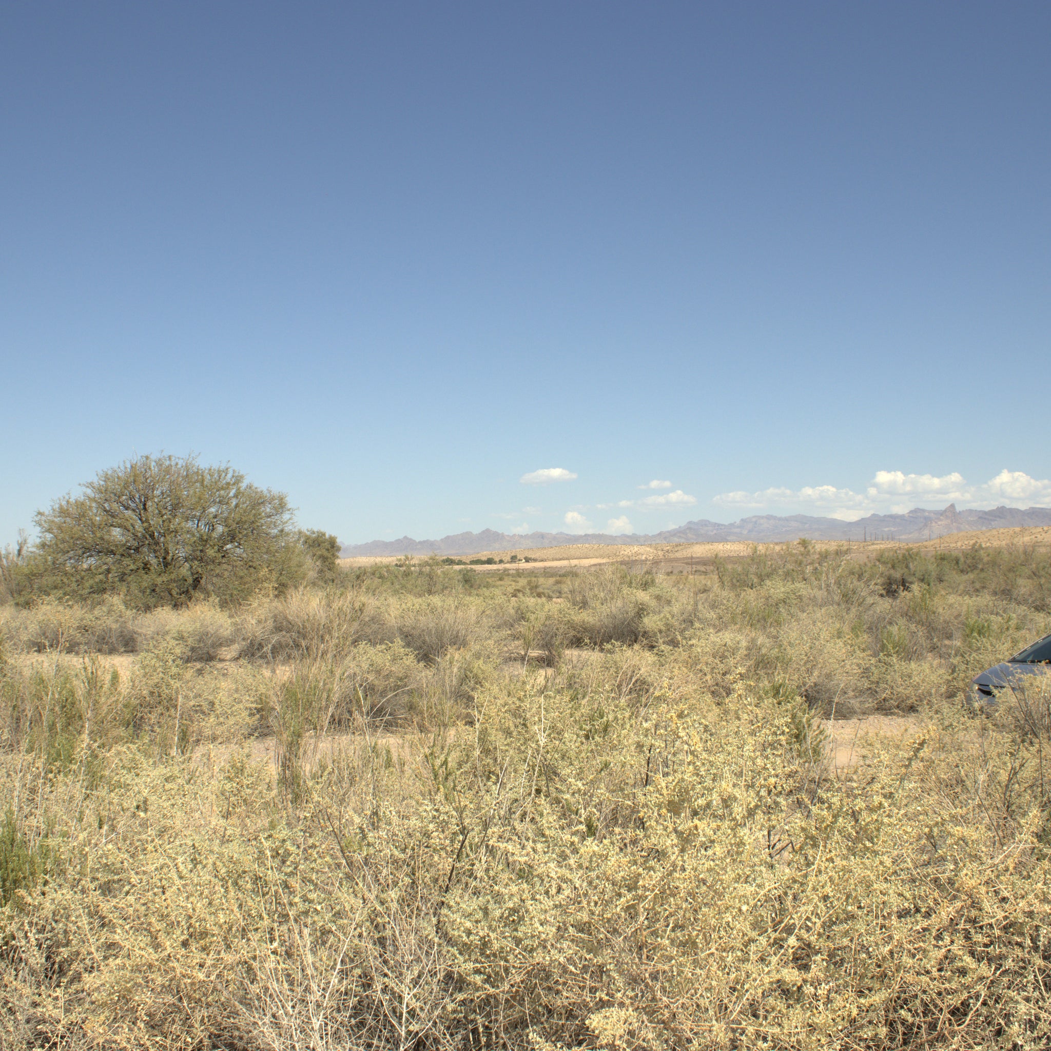 0.32 Acre Mohave Valley, Mohave County, AZ