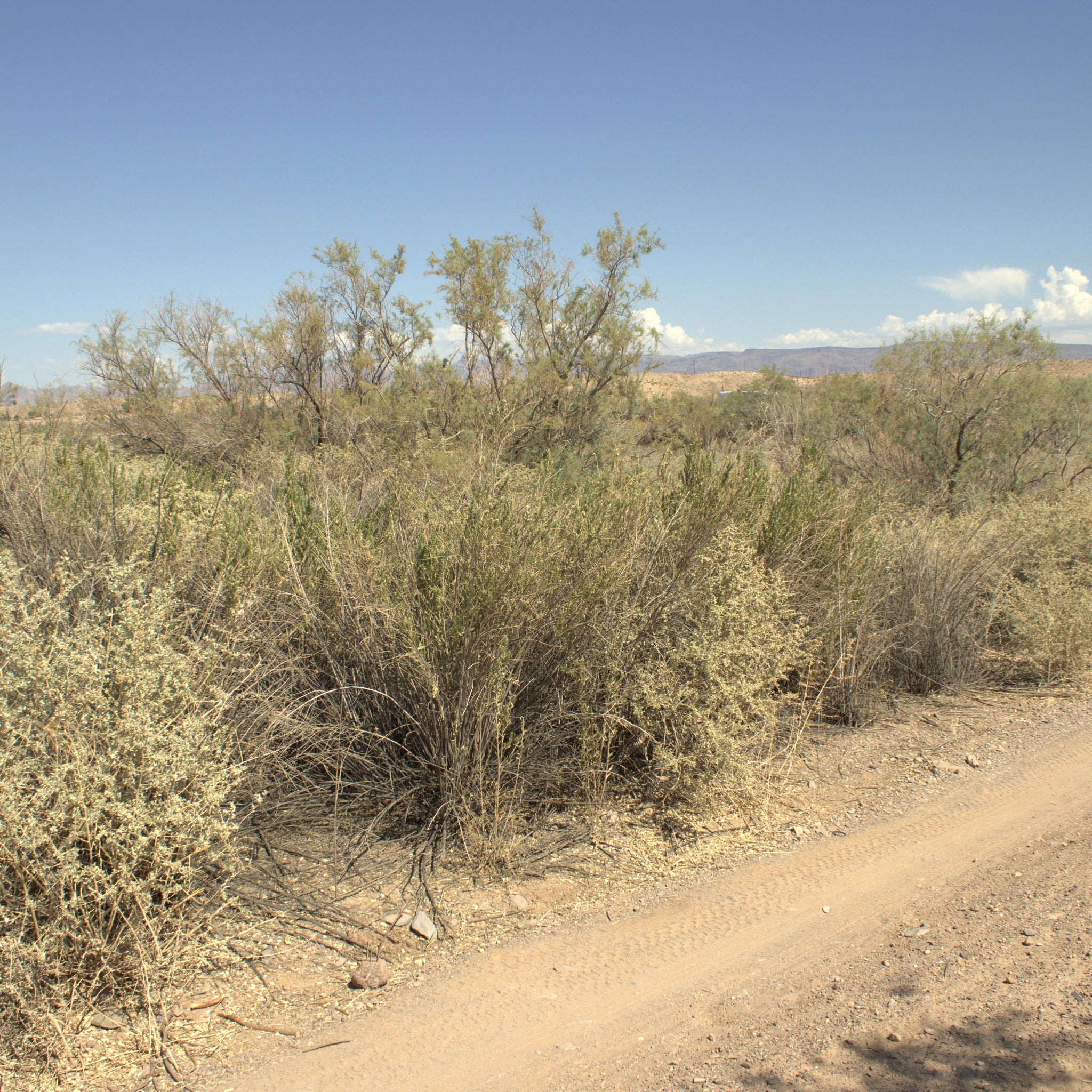 0.15 Acre Mohave Valley, Mohave County, AZ