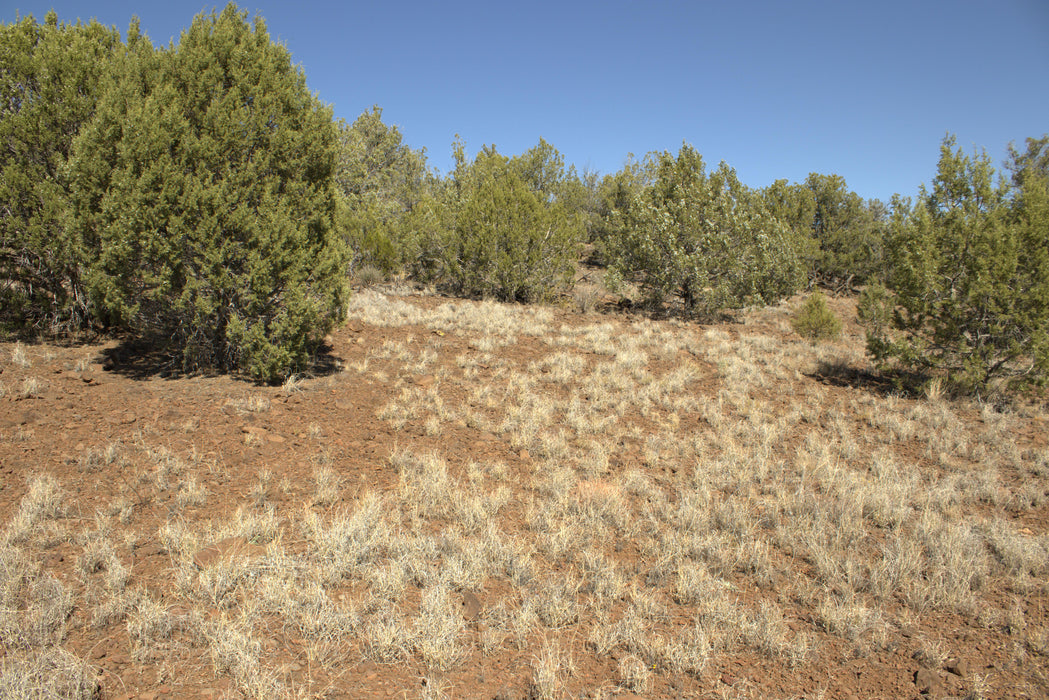 2.28 Acres Williams, Coconino County, AZ