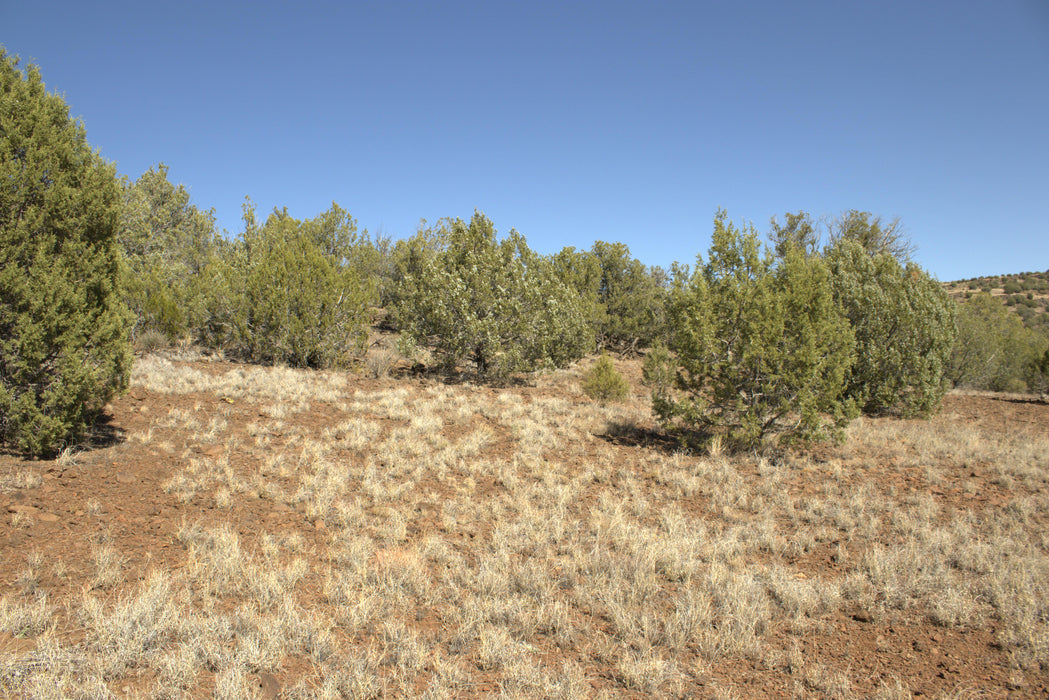 2.28 Acres Williams, Coconino County, AZ