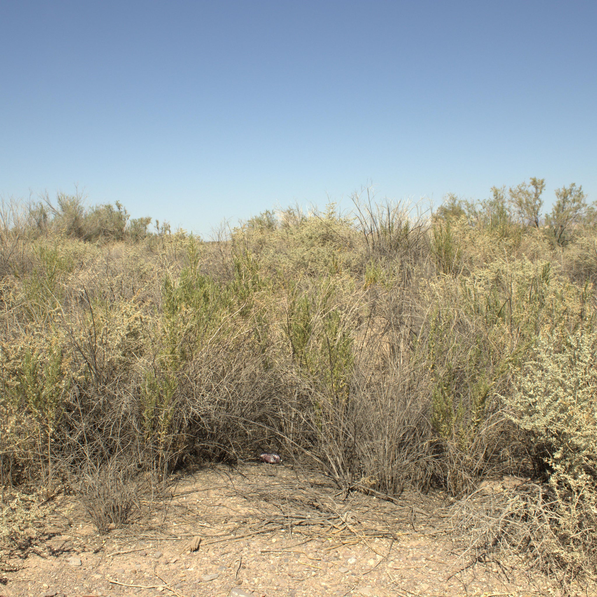 0.15 Acre Mohave Valley, Mohave County, AZ