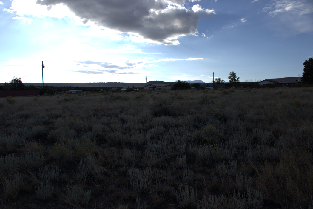 1.01 Acres Springerville, Apache County, AZ (Power)