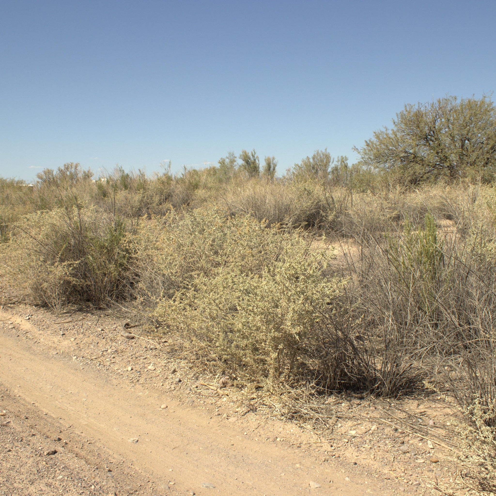 0.15 Acre Mohave Valley, Mohave County, AZ