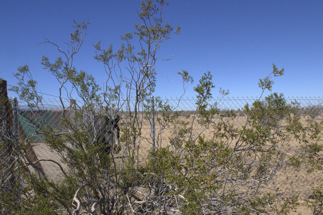 2.50 Acres Apple Valley, San Bernardino County, CA