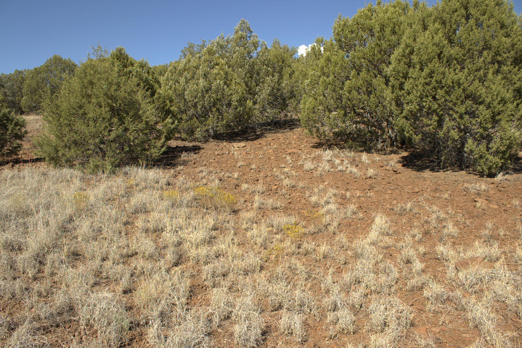 2.28 Acres Williams, Coconino County, AZ