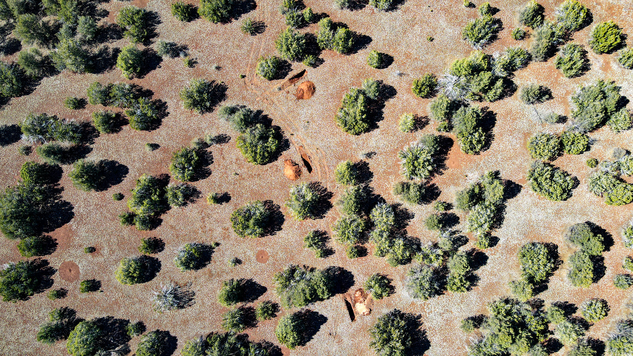 10 Acres Williams, Coconino County, AZ (Power)