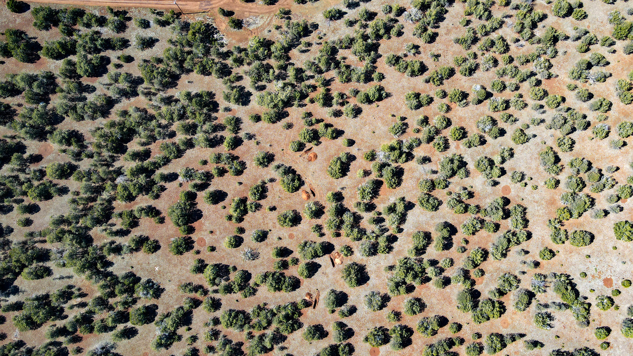 10 Acres Williams, Coconino County, AZ (Power)