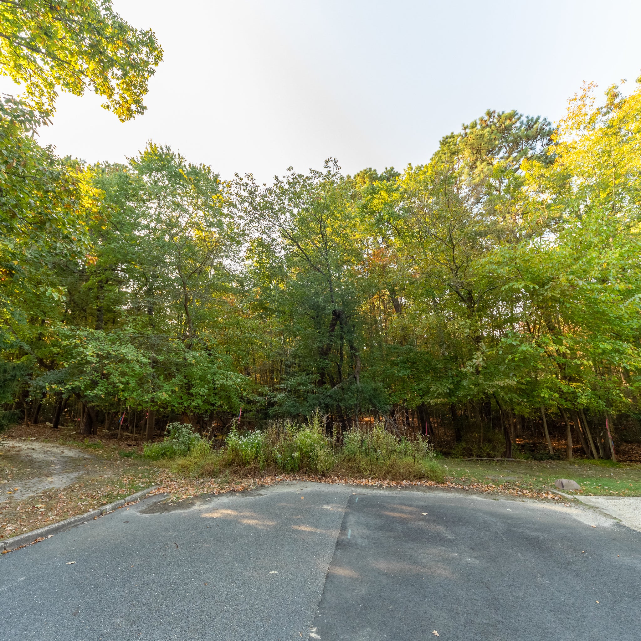 14.94 Acres Voorhees, Camden County, NJ (Power, Water, & Paved Road)