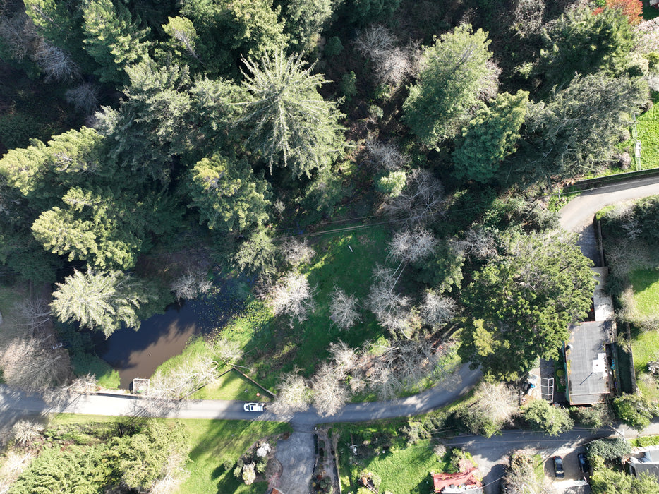 0.96 Acre Eureka, Humboldt County, CA (Power, Water, & Paved Road)