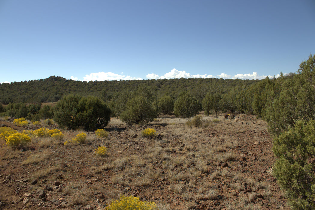 2.28 Acres Williams, Coconino County, AZ